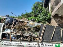 Best Moving and Downsizing Cleanouts  in Woodfin, NC